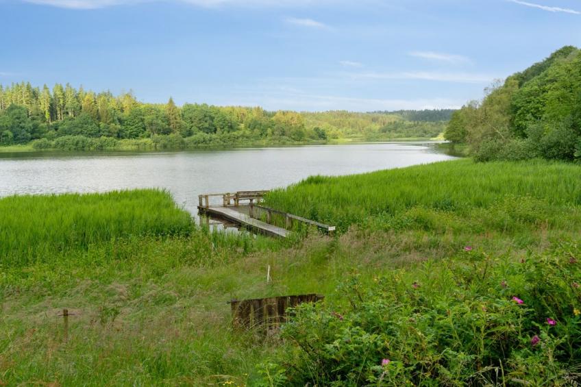 "Gertje" in SE Jutland - foto 2