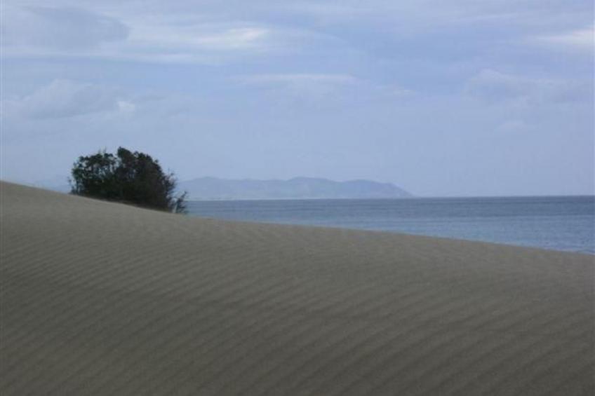 Natur, ökologische Nachhaltigkeit, nur für Erwachsene, Meer in der Nähe - foto 37