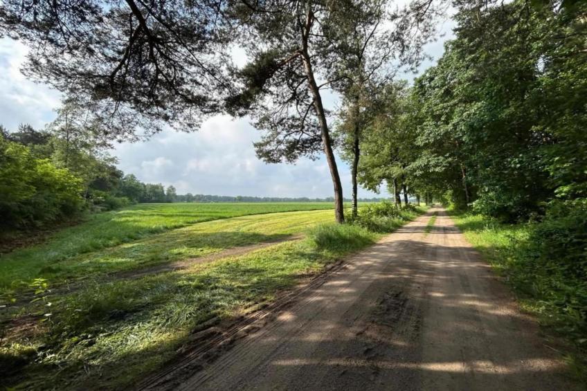 Het Kruisselt - foto 24