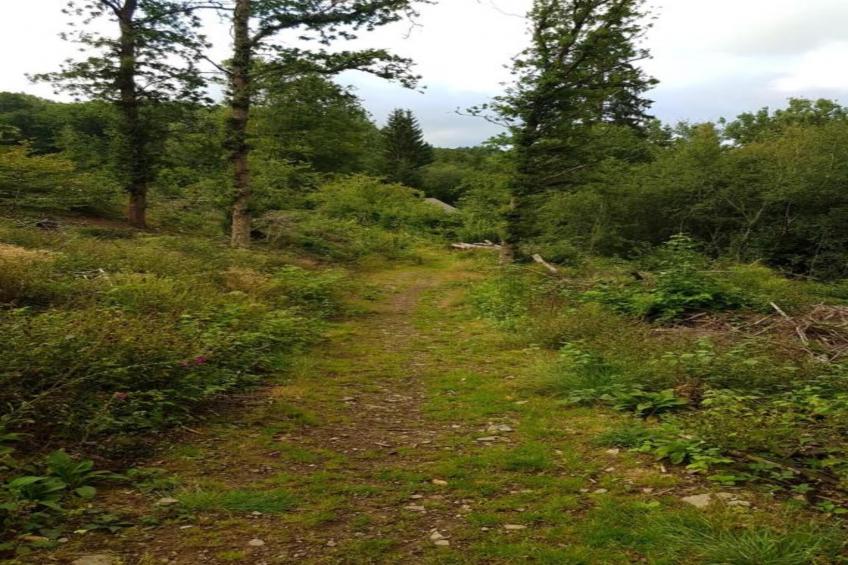 Appartamento 16 - foto 32