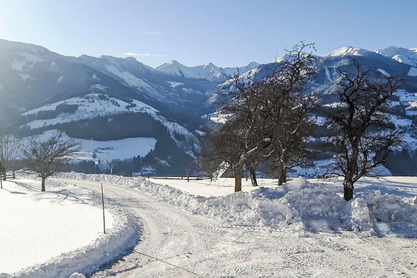 Kulmer Hof - foto 37