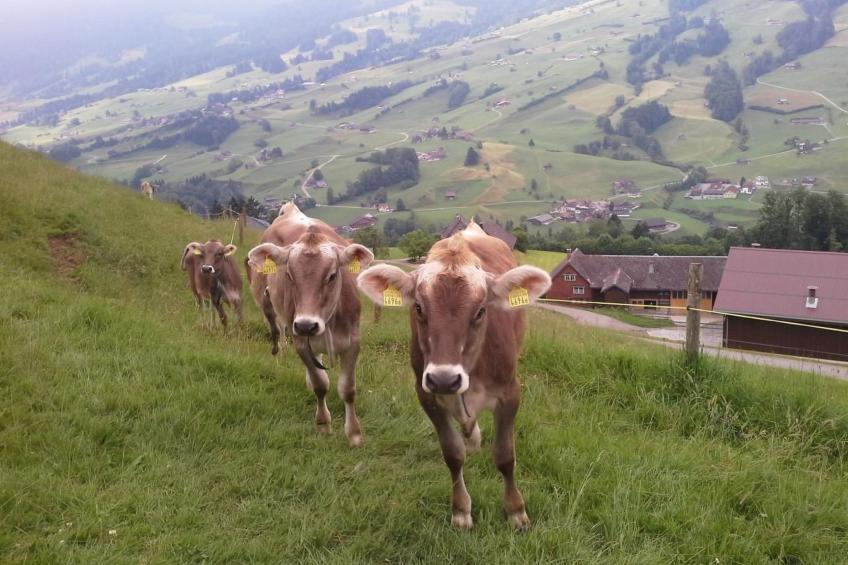 Hof Unterstein - foto 20