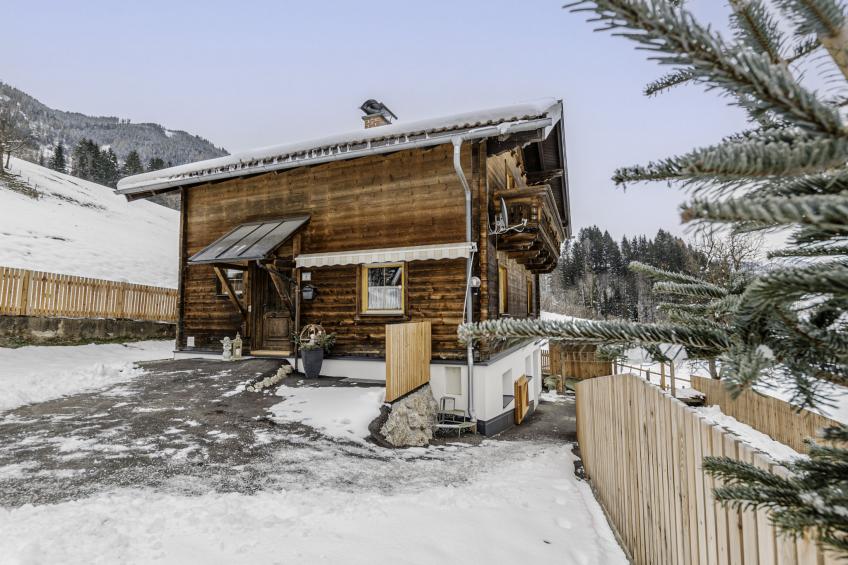 Ferienhaus beim Kainzbauer - foto 35