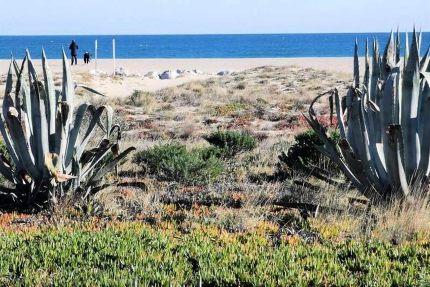 Résidence Maisons De La Mer 2 - foto 21