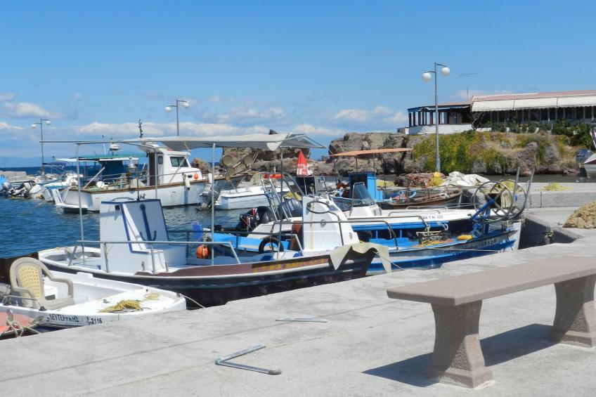 Andreas House - foto 16