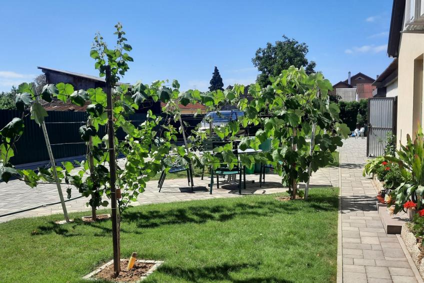 in Bük im Parterre mit Garten - foto 13