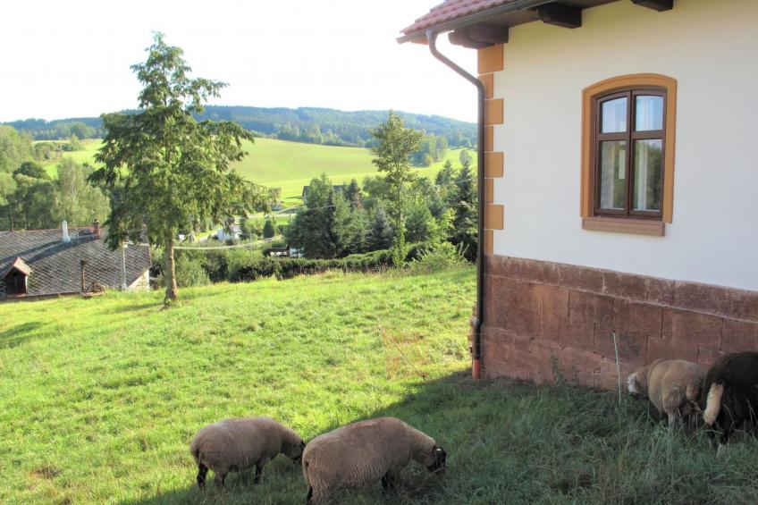 Dolní Olešnice - foto 15