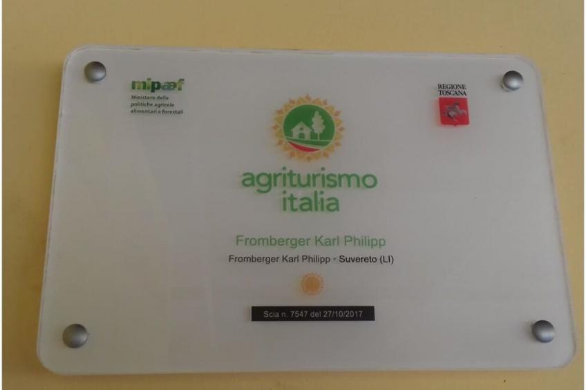 166246 - foto 41