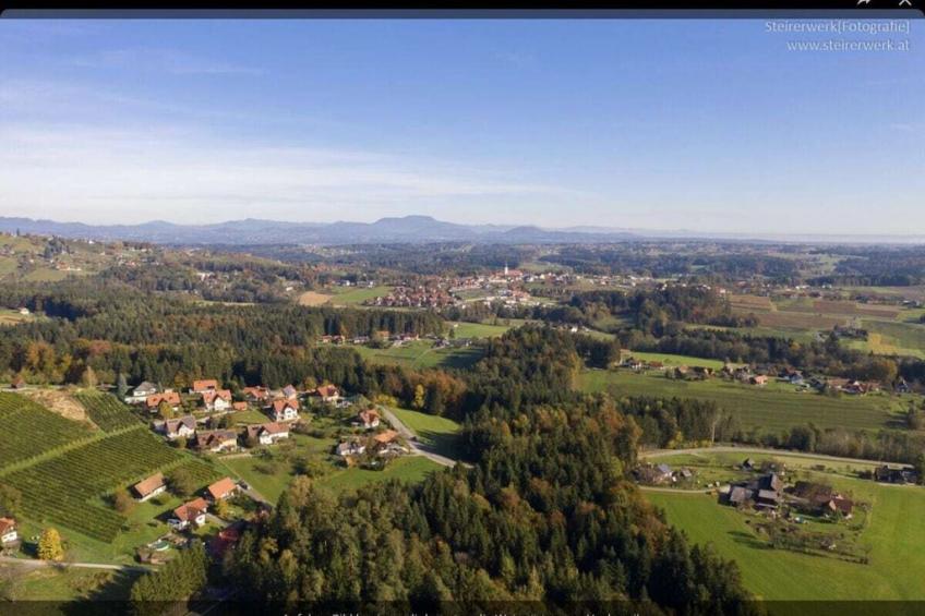 61953 - foto 40