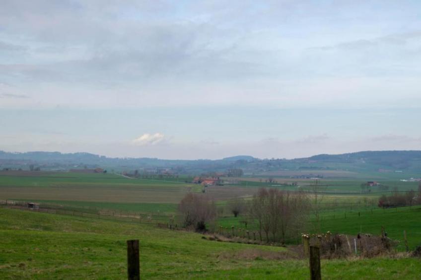 Grande Gite - foto 31