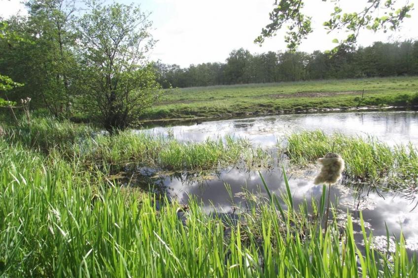 Twee safaritenten "Noflik" & "Gaadlik" naast elkaar - foto 29
