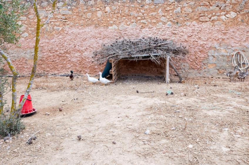 Casa Pequeña - foto 33