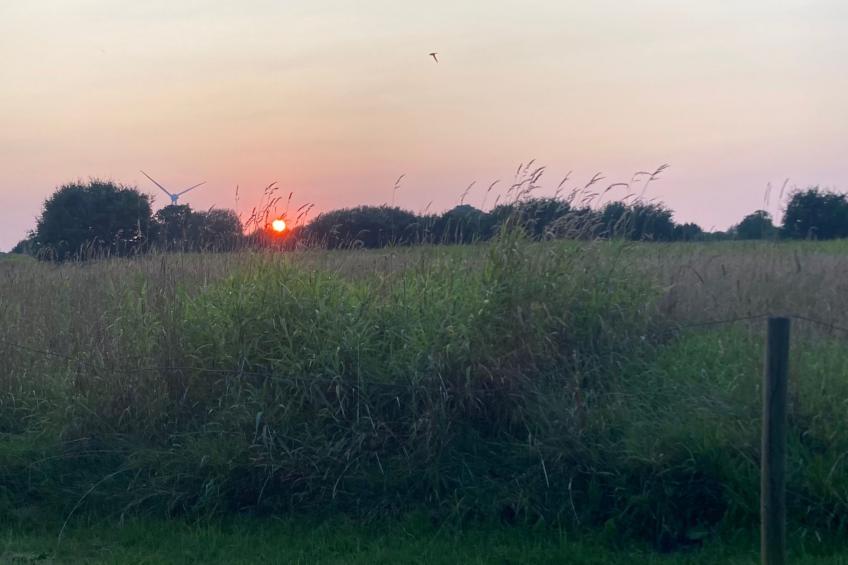 Finkenbusch - foto 43