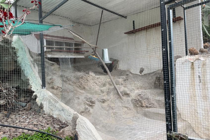 Casa Amarilla - foto 40