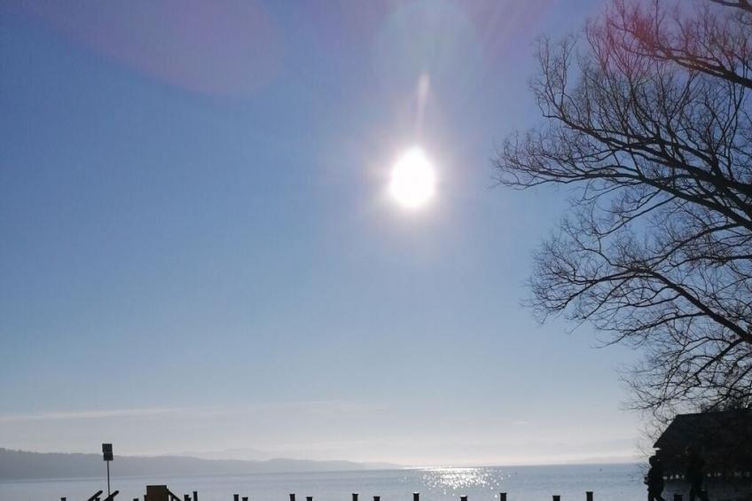 18276 - foto 25