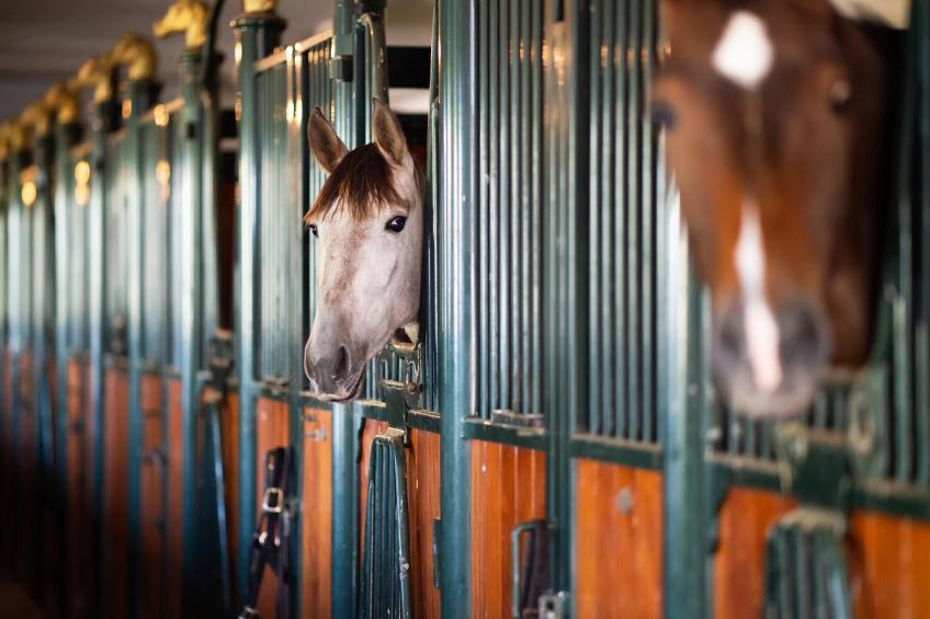 Aekinger Lodge - foto 11