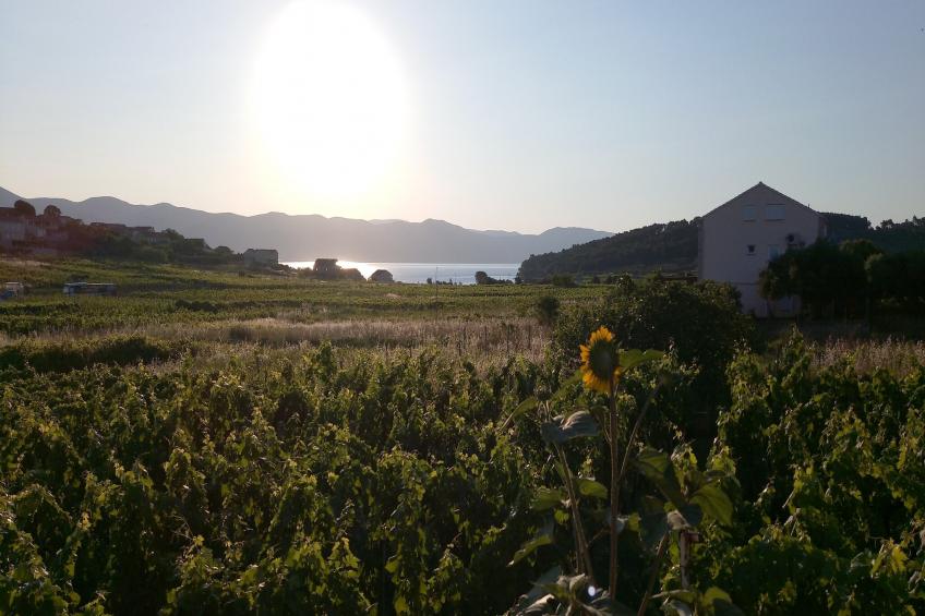 Holiday Home Kata - Two-Bedroom Holiday Home with Balcony - foto 19