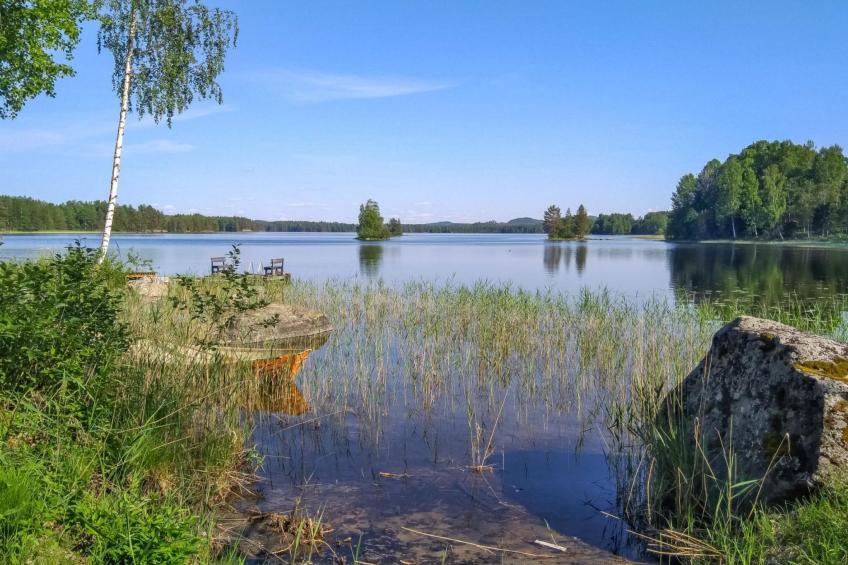 Koli, kiviranta - foto 28