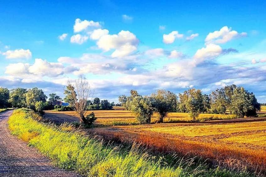 Blue Eco Cottage" Ferienhaus mit Wasserblick - foto 50