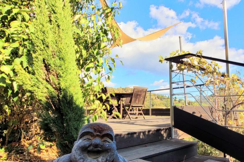 Haus Darshan Pool 10 Personen - foto 36