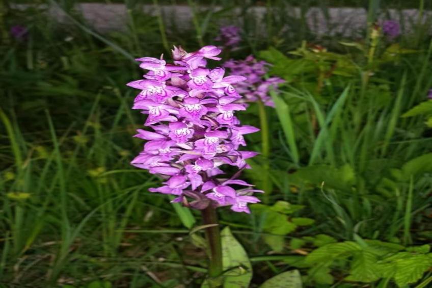 Bad Bayersoien - foto 24