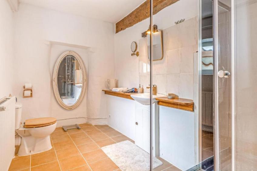 Chateau Feny - foto 24