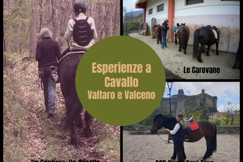 Ferienzimmer in Tolasudolsa Zimmer Frühstück - foto 2