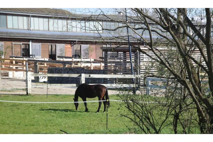 522 1P 40€(6) Schulz - foto 21