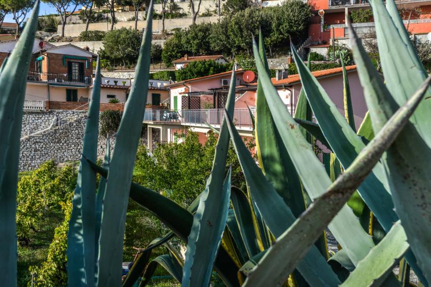 Ferienwohnung (CLV191) - foto 27