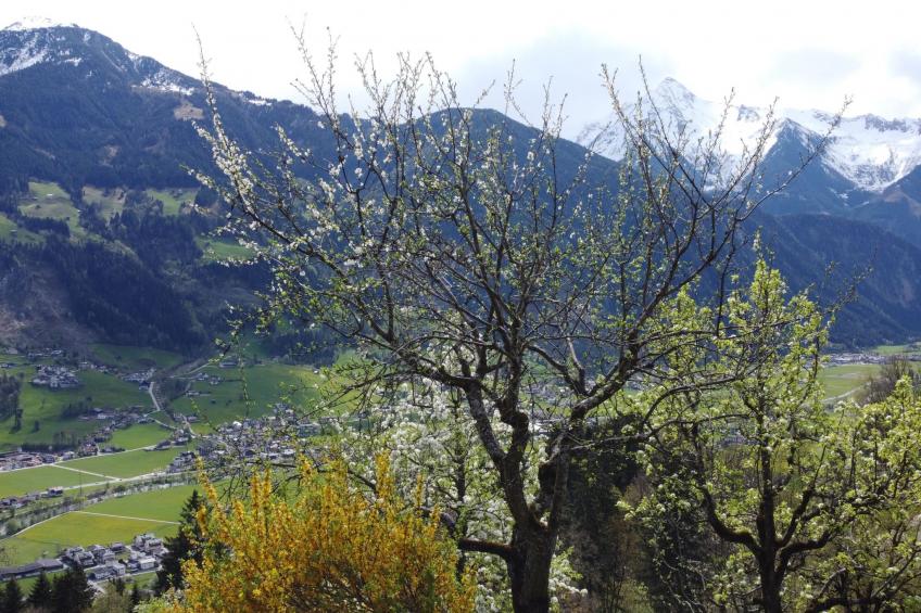 Obertal - foto 5