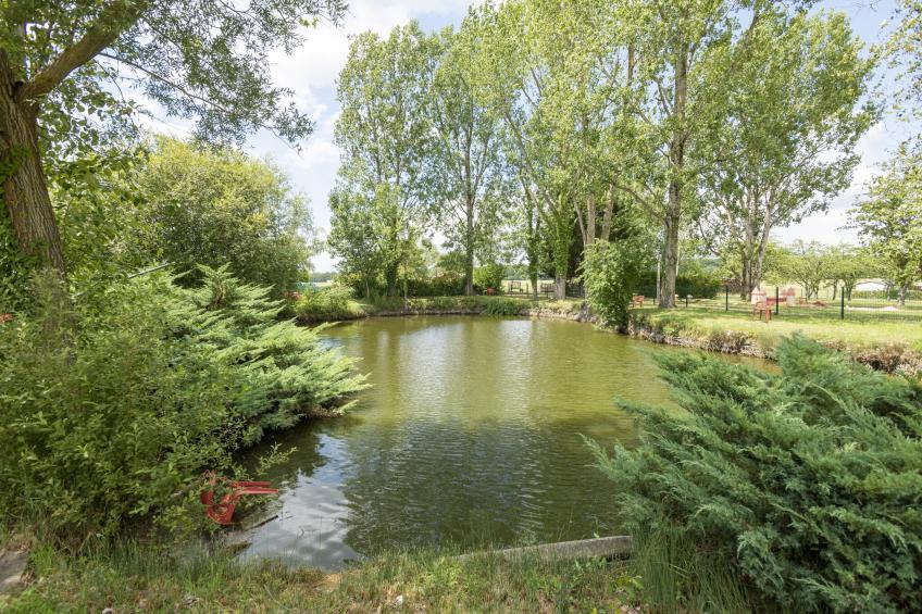 Mobilhome Excellence 6 personnes - foto 32