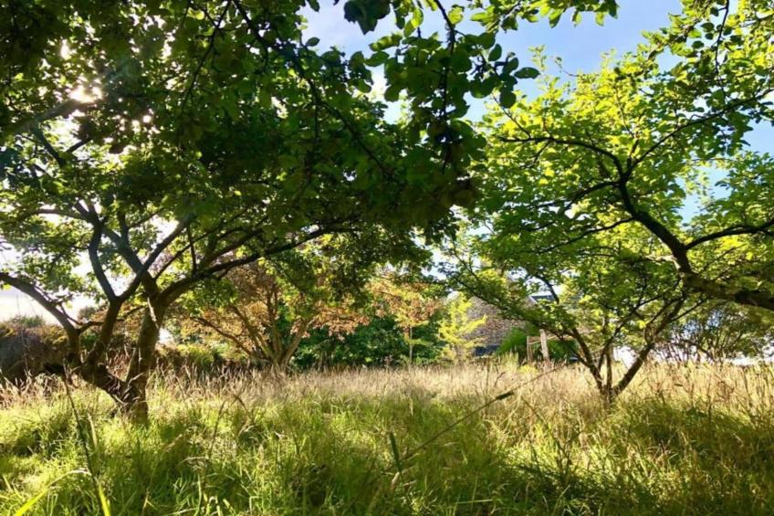 Gîte Saint-Gilles-les-Bois - foto 26