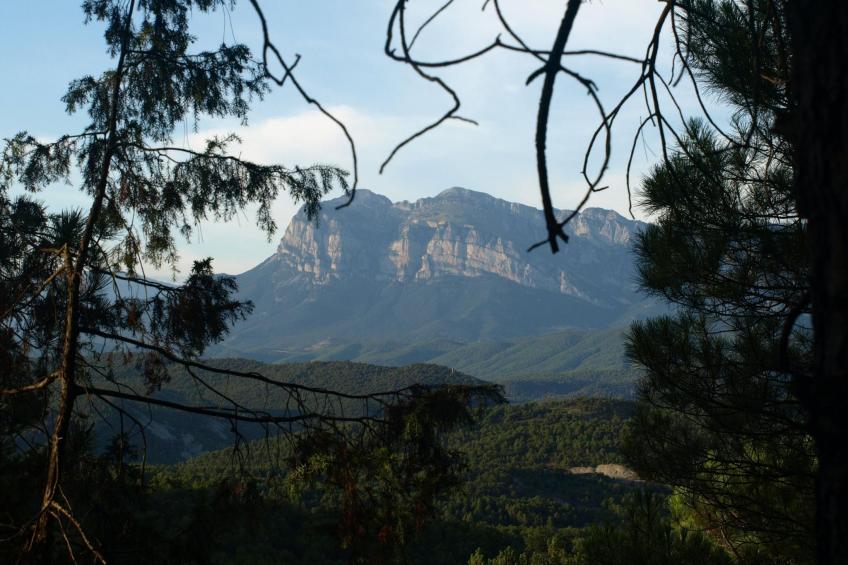 Trujar-Haus - foto 18