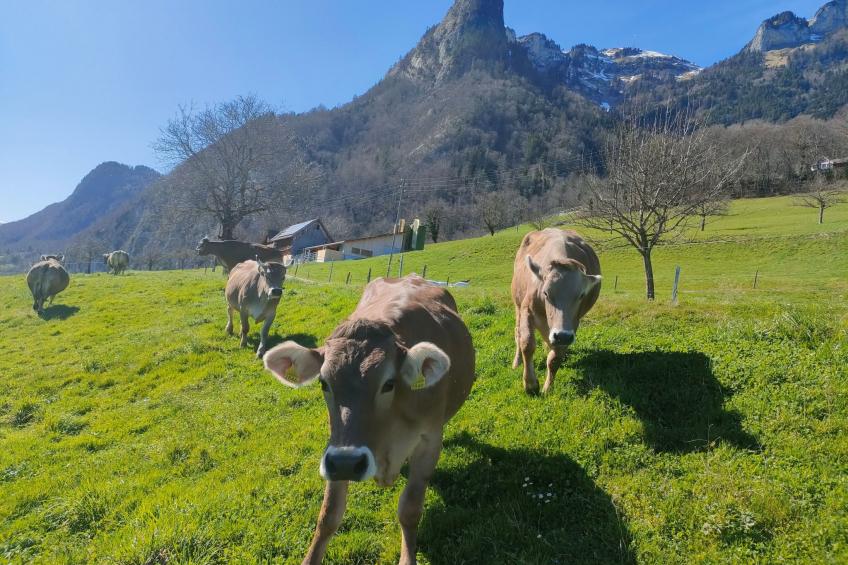 Löhli Hof - foto 13