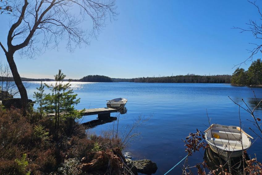 Gösen in Seenähe inklusive Ruderboot - foto 21