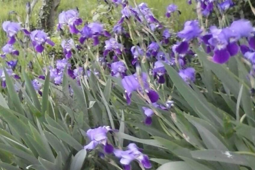 Villa Bella - Two Bedroom House - foto 22