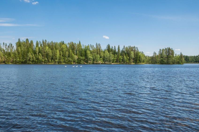 Tähtiranta - foto 17