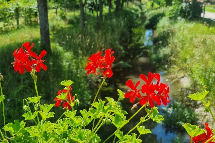 Familienfreundliche Wohnung im schönen Reisenberg - foto 25