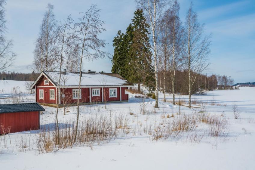 Peltosirkku, seeteri - foto 11