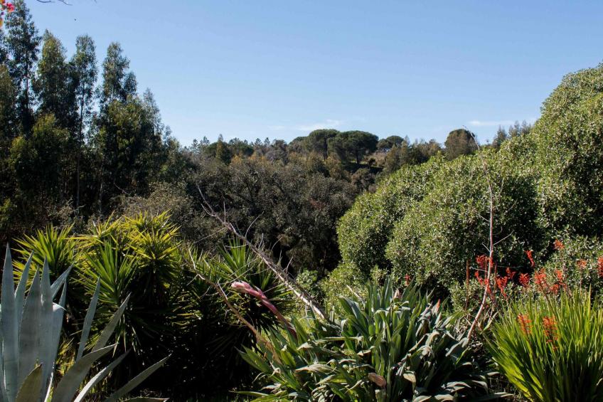 Monte Horizonte Casa Borboleta Öko und Natur - foto 17