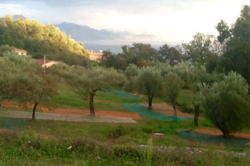 Gästehaus an die Villa angeschlossen - foto 6