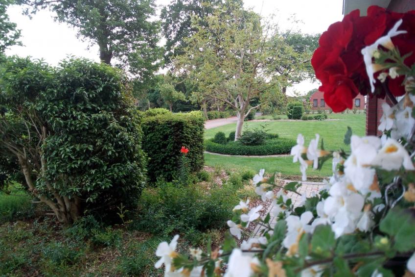 Fewo Schlingshöhe - foto 25