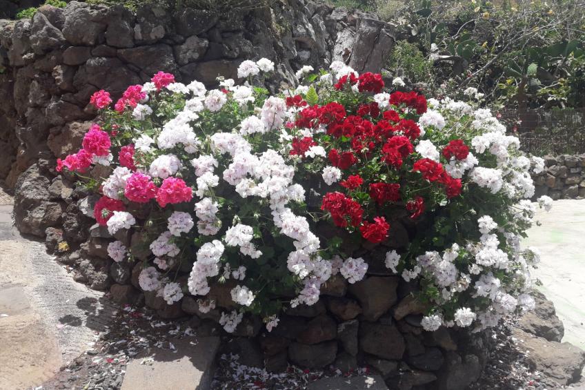 "Casa El Vallito" schönes Steinhaus - foto 39