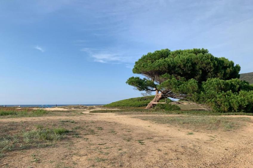 Résidence-Club les Villas Bel Godère - foto 24