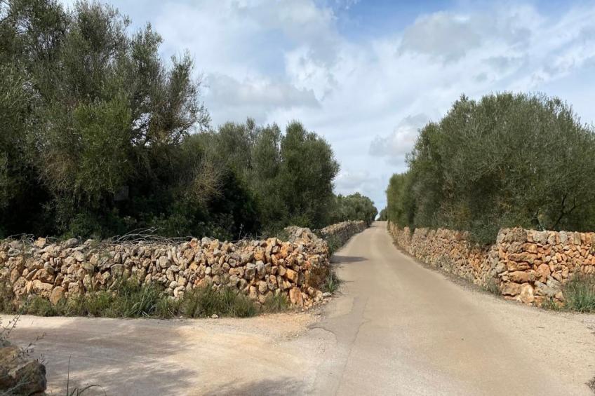 Can Xesquet - foto 4