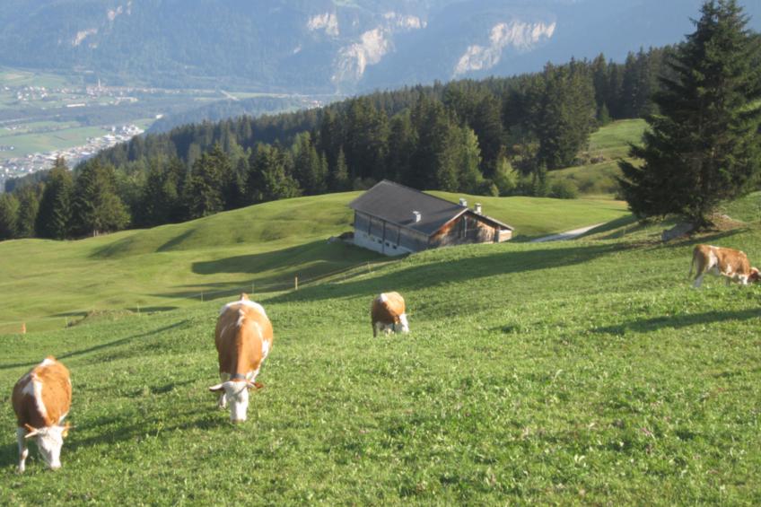 Maiensäss Rüs, (Präz), - foto 10
