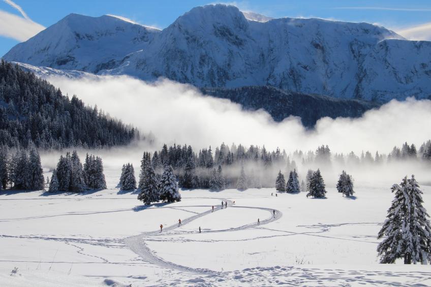 Chartreuse 1 036-FAMILLE & MONTAGNE appart. 6 pers - foto 7