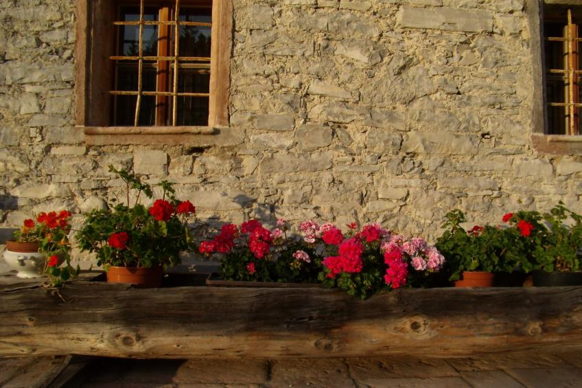 in Sankt Koloman mit Großer Terrasse - foto 17
