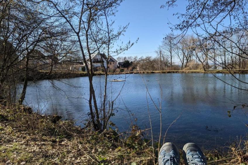 Schwalbennest - foto 20