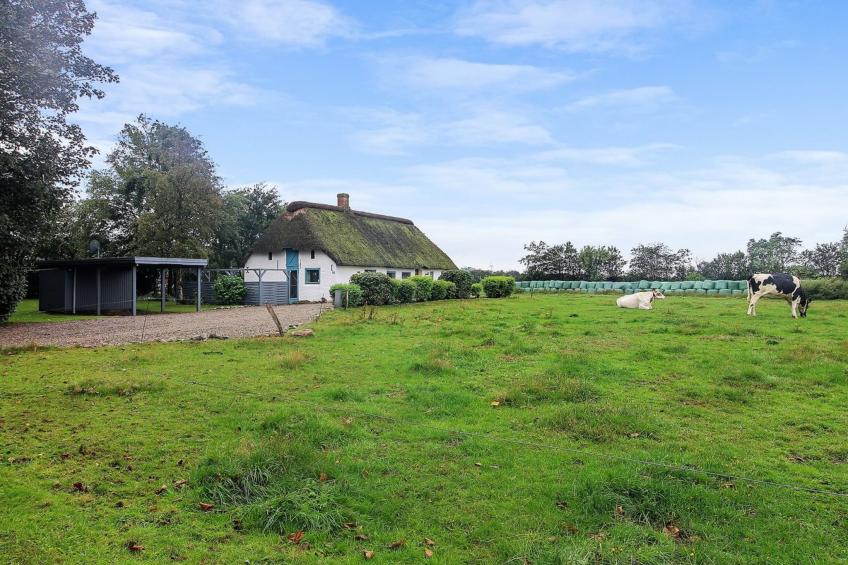 "Davinia" - 29km from the sea in Western Jutland - foto 18